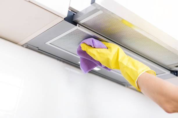 Air Duct Mold Removal in Rittman, OH